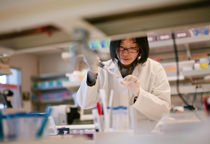 Female scientist works with pipette and culture