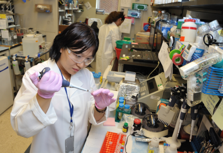 Asian woman uses research lab tools to work