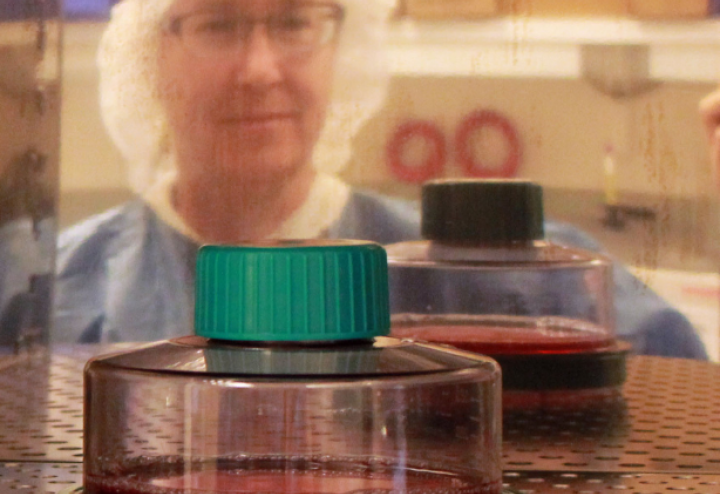 Woman in lab gear watches petri dishes from the other side of the glass